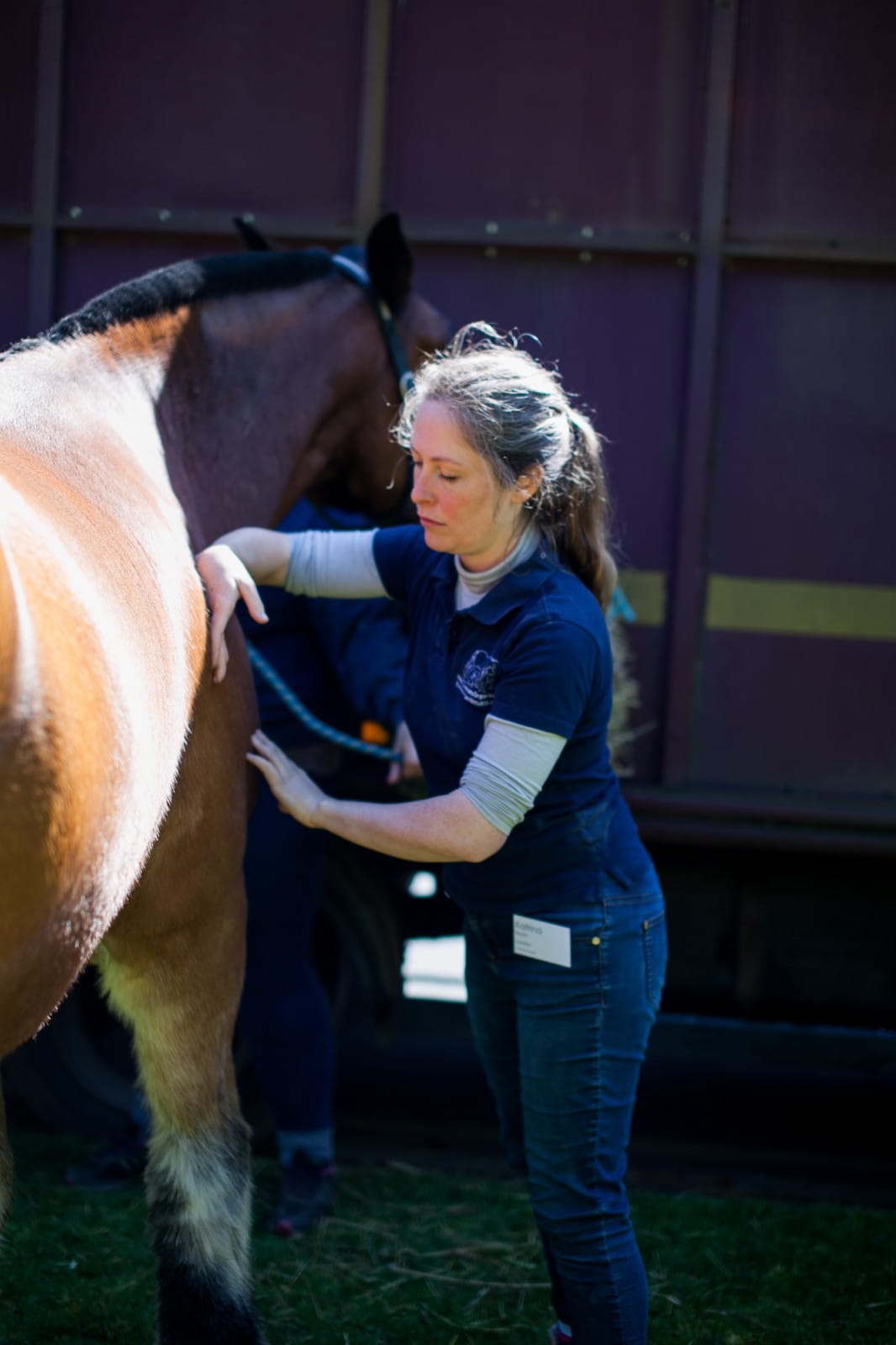 Horse massage at 2017 conference